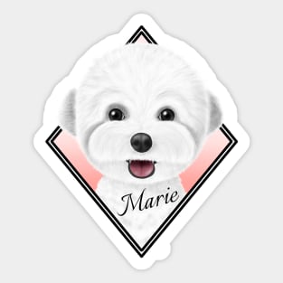 Bichon Marie Sticker